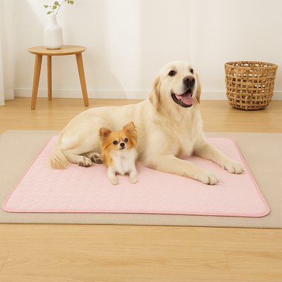 Kühlende Hundematte - CoolPet Mat