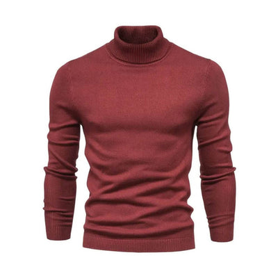Alexander | Bequemer Rollkragenpullover